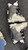 Used Dalbello VANTAGE 4 FACTOR Mens DH Ski Boot Grey 260 MP - M08 - W09 11162-C000445388 View 4