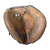 Used Wilson A700 Baseball Catchers Right Hand Throw Brown 32 1/2" View 1