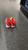 Used Mizuno VB Shoes Adult Red Senior 8 11831-S000031945 View 3