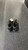 Used Mizuno VB Shoes Adult Black Senior 8 11831-S000031946 View 3
