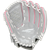 New Sure Catch 10.5" RHT Fastpitch Glove 11855-RAWAMASCSB105PR View 1