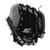 New Sure Catch 10.5" RHT Baseball Glove 11855-RAWAMASC105BGBR View 4