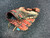 Used Wilson 1786 A2000 PRO STOCK BB/SB Glove RH Throw None 11 1/2" 10743-S000479306 View 1