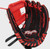 New EASTON PL10 10" GLOVE 11857-EASR00704410 View 1