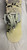 Used Morrow WILDFLOWER Womens Board/Bindings Beige 148 cm 11774-S000086951 View 4