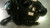 Used Champro SCORPION FB Shoulder Pads Black XS 11868-S000067775 View 2