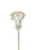 Used East Coast Dyes REBEL W/ STX STALLION Men Atk/Mid Complete Stick White 11613-S000177666 View 1