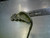 Used Ping EYE 2 Mens Iron Set RH 3I-PW 11339-S000199286 View 2