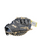 Used Miken KOALITION KO130-FB BB/SB First Base RH Throw None 13" 11850-S000023537 View 1