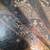 Used Rossignol TAIPAN Mens Snowboard Only Brown 158 cm 11651-S000412706 View 4