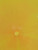 New Axiom Neutron Crave 11849-38AMVPCRAVE View 2