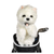 New Daphne's Golf Driver Headcover- Westie View 1