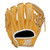 Baseball and Softball Fielders Gloves View 2