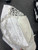 Used Bauer VAPOR X700 Junior Goalie Catcher White 10558-S000249240 View 3