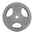 New CAP Standard Plate Weight 25lbs  11820-CAPRWP025 View 1