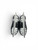 Used CCM JETSPEED XTRA Junior Hockey Skate Junior 03.5 10589-S000431209 View 3