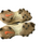 Used Nike REACT BB/SB Cleats Black And Tan Youth 08.0 11613-S000178637 View 1