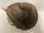 Used Rawlings Player Preferred PCM30 Baseball Catchers RH Throw Brown 33" 11855-S000200456 View 1