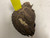 Used Rawlings Player Preferred PCM30 Baseball Catchers RH Throw Brown 33" 11855-S000200456 View 3
