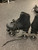 Used NATTORK Senior Roller Quad Skates Black Senior 8 11162-S000448619 View 2