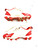 Used Nike . BB/SB Cleats White Junior 04.5 11860-S000306011 View 2