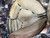 Used Kelley KELLEY SMOOTH SMT063 BB/SB Catchers RH Throw Grey 33" 11605-S000215342 View 2