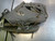 Used Rawlings LIBERTY ADVANCED BB/SB Glove RH Throw Grey 11 3/4" 11339-S000200255 View 3