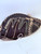 Used Louisville Slugger ZEPHYR SERIES BB/SB Catchers RH Throw Black 30" 11879-S000018713 View 6