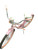 New 26 INCK PINK HUFFY CRUISER 11846-PIAHUFPINK26CRUISE View 1