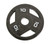New IMPEX MARCY ECOIRON MCW OLYMPIC PLATES 10LB 11845-IMPMCW-10 View 1