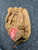 Used Rawlings PP140M BB/SB Glove RH Throw Brown 14" 11162-C000449022 View 1