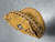 Used MacGregor CATCHERS MITT BB/SB Catchers RH Throw None 30" 11307-S000264088 View 1