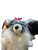 Used DOG HEAD COVER Golf Accessory 11861-S000030990 View 2
