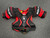 Used Bauer VAPOR X2.9 Senior Shoulder Pads LG 10558-S000249972 View 1