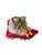 Used Under Armour Jr FB Cleats Red Junior 03.5 11095-S000102941 View 1