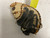 Used All-Star Young Pro Series CM1010BT Baseball Catchers LH Throw Tan 31" 11855-S000201053 View 3