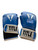 Used Everlast Exercise Gloves Royal Blue MD 11883-S000158950 View 1