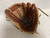 Used Rawlings Pro Preferred PROS15MTBR Baseball Glove RH Throw Tan 11 1/2" 11855-S000201108 View 1