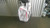 Used Nextt STAFF BAG Mens Cart Bag Grey 11868-S000068413 View 1