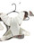 Used Warrior BURN Lacrosse Shoulder Pads White And Orange MD 11721-S000282015 View 2