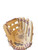 Used Rawlings PRO LITE BB/SB Glove RH Throw Brown 11 1/2" 11883-S000159039 View 1