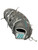 Used Marucci MARUCCI PALMETTO SERIES 13IN LHT BB/SB First Base LH Throw Grey 13" 11838-S000056597 View 1