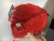 Used Wilson A2000 BB/SB Glove RH Throw Red 11 3/4" 11605-S000215932 View 5