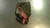 Used Mizuno FINCH BB/SB Glove LH Throw Black 11" 11868-S000068493 View 1