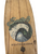 Used Sector 9 Longboard 43.5" Complete Skateboard w/ Gullwing Charger Trucks 11731-S000162482 View 2