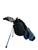 Used Club Champ 7-9 DTP2 Jr RH 6 Piece Club Set  11692-S000149062 View 4