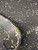 Used Brine C5000 FH Complete Stick Black 36 1/2" 11162-S000450285 View 3