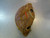 Used Nokona SBM100 BB/SB First Base RH Throw Brown 12 1/2" 11339-S000200822 View 2