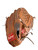 Used Rawlings PRO-B BB/SB Glove RH Throw Brown 12" 10313-S000281925 View 1