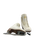 Used Jackson CLASSIQUE WomensFigure Skate White Senior 7 11770-S000069440 View 1